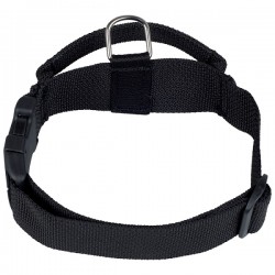 Nylon collar with handle