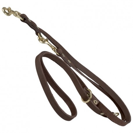 Double leather leash (two carabines)