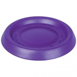 Frisbee, large, 28cm